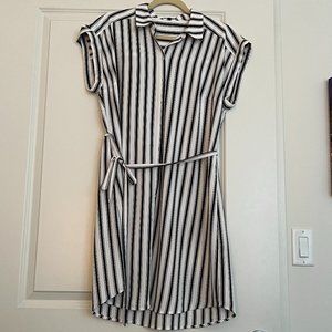 Express Striped Shirt Dress